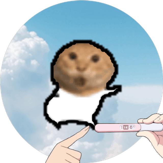 meme pregnancy_test